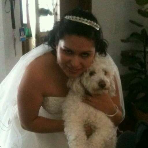 Tu mascota parte de ese dia especial - 1