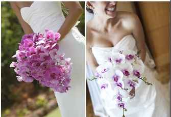 Boda Orquidea Radiante - 2