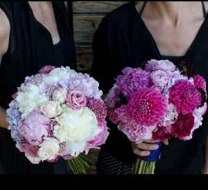 Boda Orquidea Radiante - 6