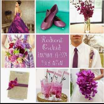 Boda Orquidea Radiante - 13