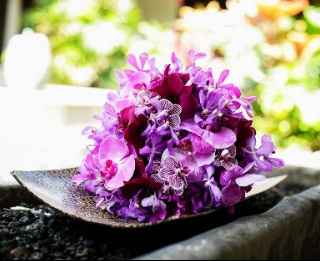 Boda Orquidea Radiante - 14