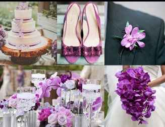 Boda Orquidea Radiante - 20