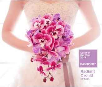 Boda Orquidea Radiante - 26