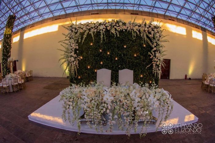Flores blancas, resaltan con la pared de hojas.