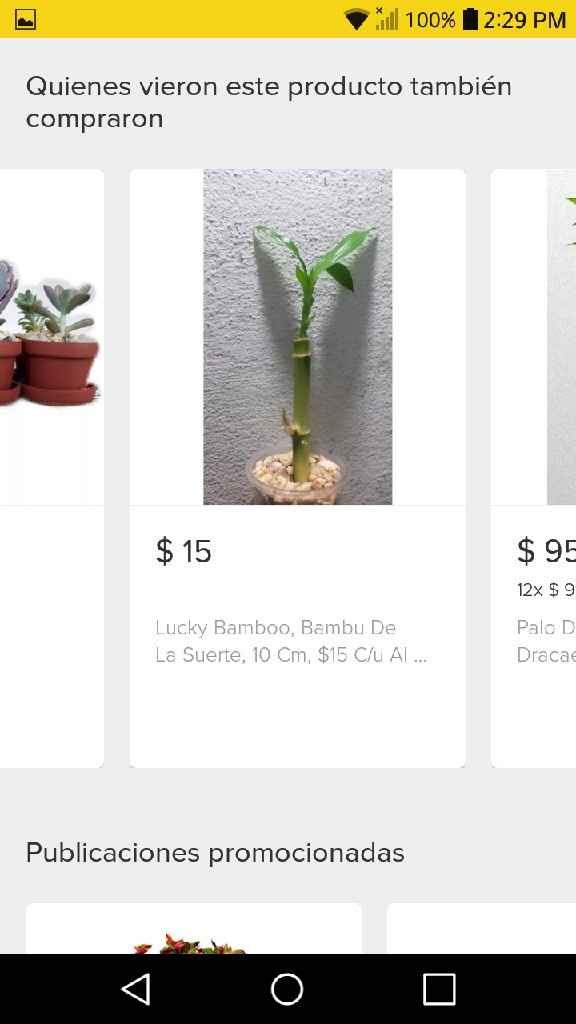 Recuerdo de bodas - 3