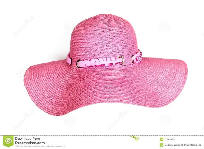 🎗️ Sombreros para el mes rosa 🌸 5