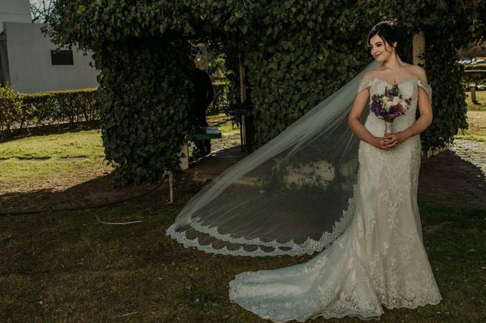 Muéstrenme su Velo 1