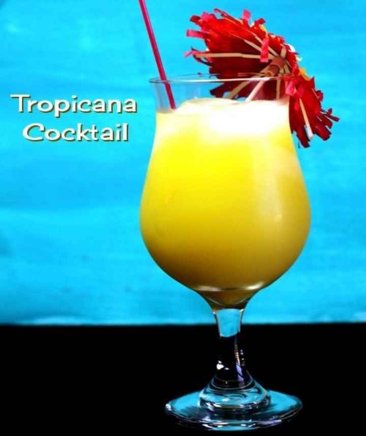 Bebidas alcohólicas de frutos amarillos 🌈 - 6