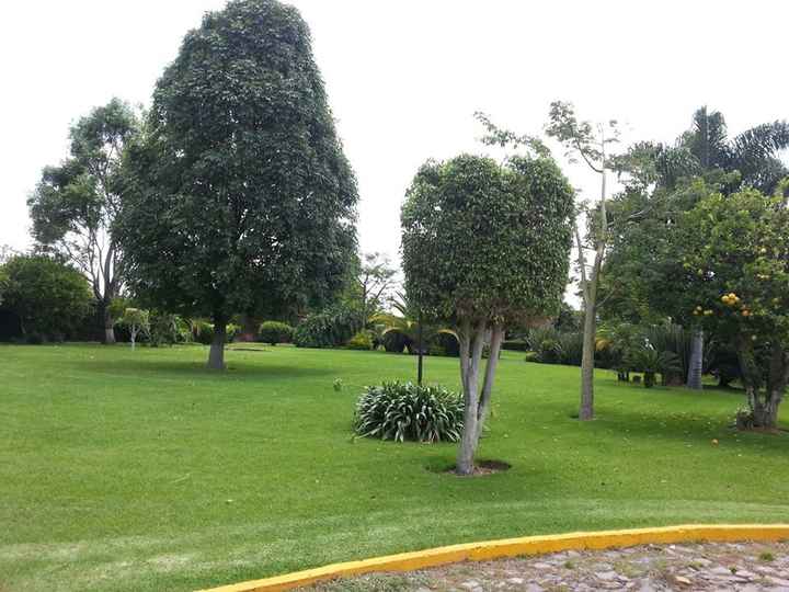 En busca de escenario perfecto - 3
