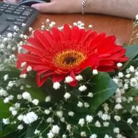 Una bride re-utilizable 😮 - 2