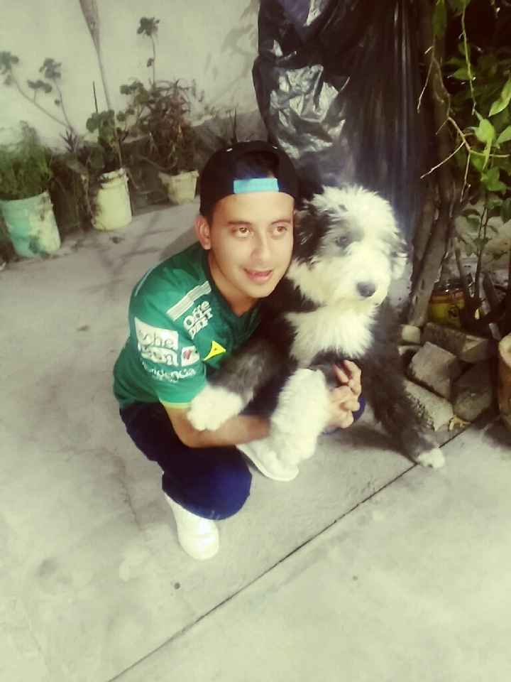 Mascotas en el hogar ¿sí o no? - 1