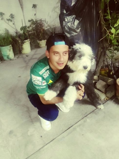 Mascotas en el hogar ¿sí o no? - 1