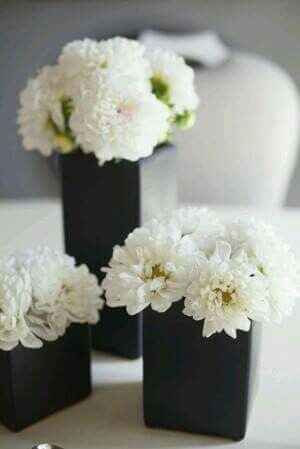 Blanco y negro :)) - 10