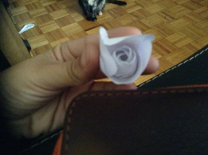 Petalo 2 cubriendo al pétalo 1