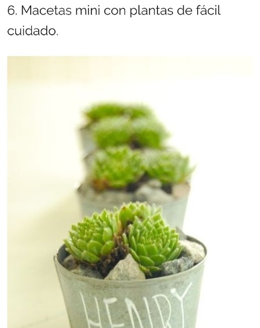 14 originales regalos para los invitados - 6