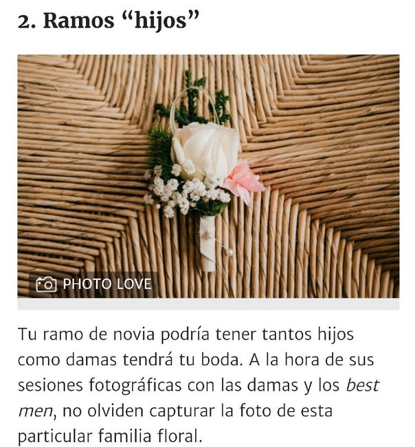 C- Corsage para sus damas - 5