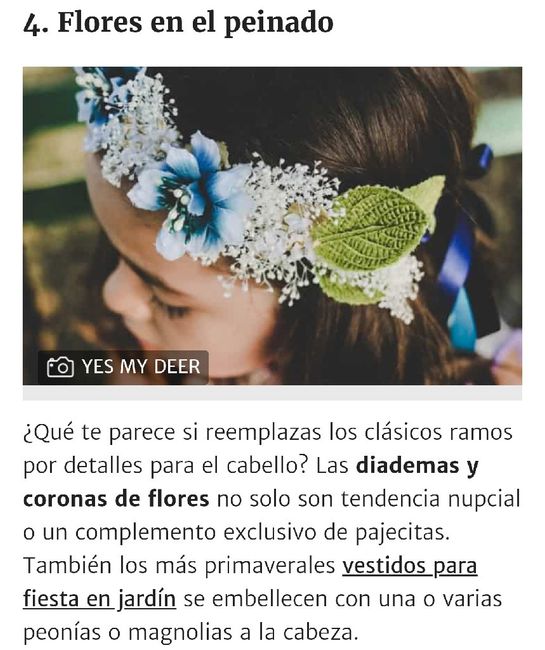 C- Corsage para sus damas - 8
