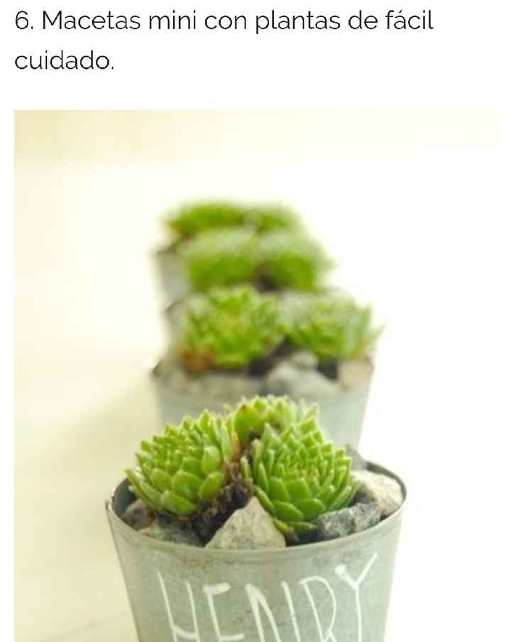 14 originales regalos para los invitados - 6