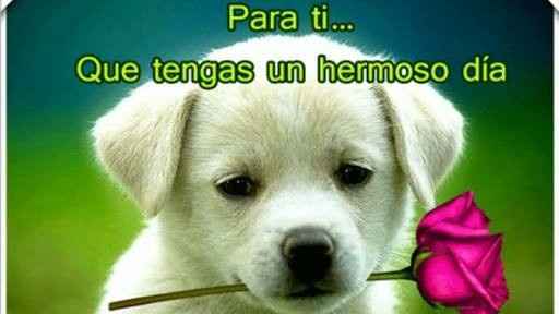 Felicidades!!! - 1