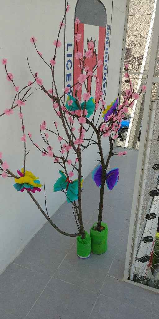 Ideas para Arbol de deseos - 1