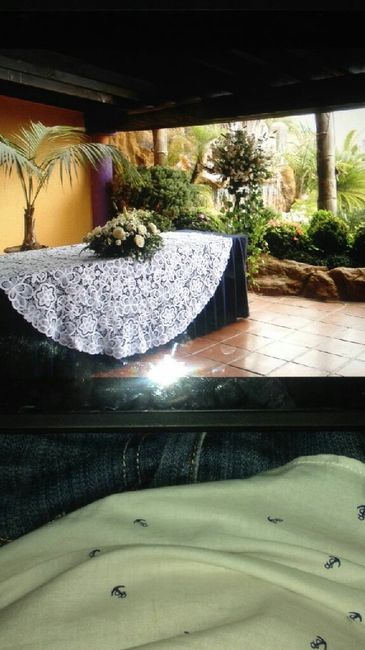 Necesito sus opiniones! - 7