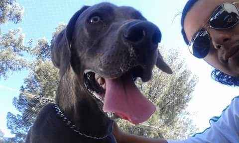 Sesión con mascotas!! - 3