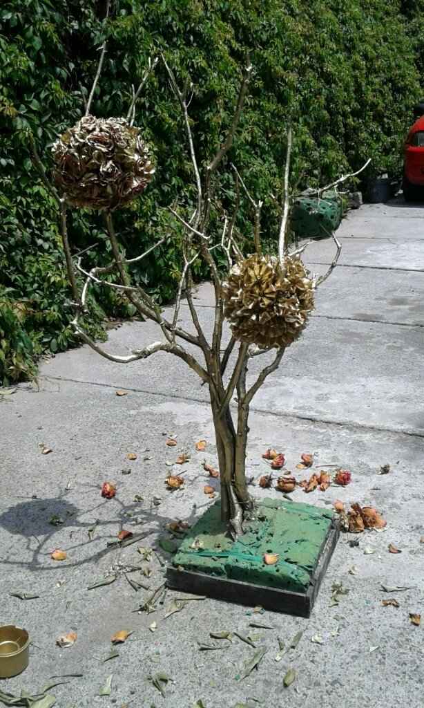 Avences, mi árbol de los deseos - 4