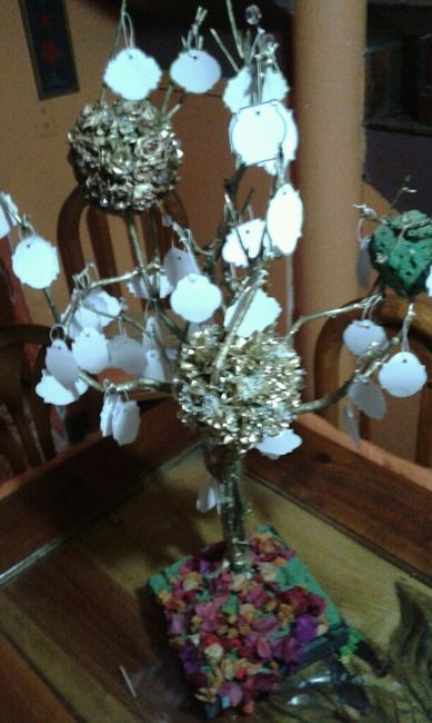 Avences, mi árbol de los deseos - 2