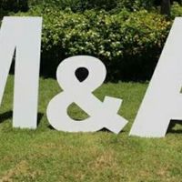 Vendo letras gigantes en ciudad de méxico - 1