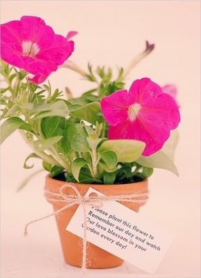 Recuerditos organicos para tus invitados. - 2