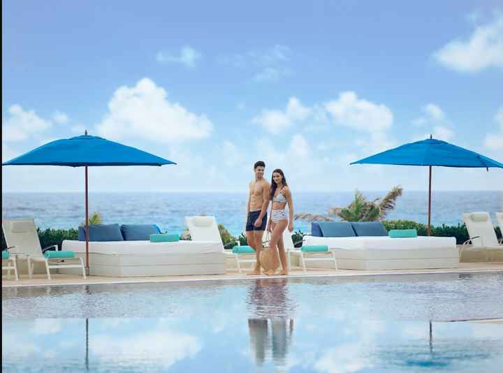 ¿Ayudarás a planificar la luna de miel? 🍯🌚 - 1