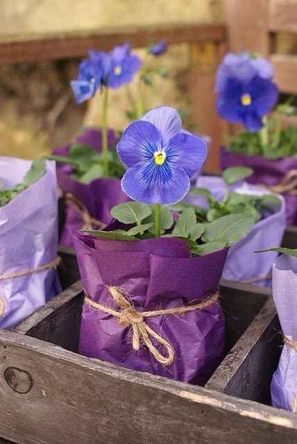 Recuerditos organicos para tus invitados. - 5