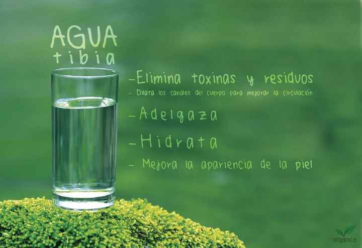 Mantener el cuerpo ideal - 2