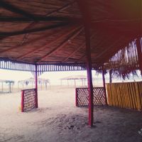 Asi van hacer mis floristas xd jiji listas ellas  - 2