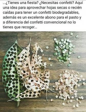 Opciones ecofriendly 4