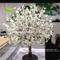 Jessica,me presento - 1