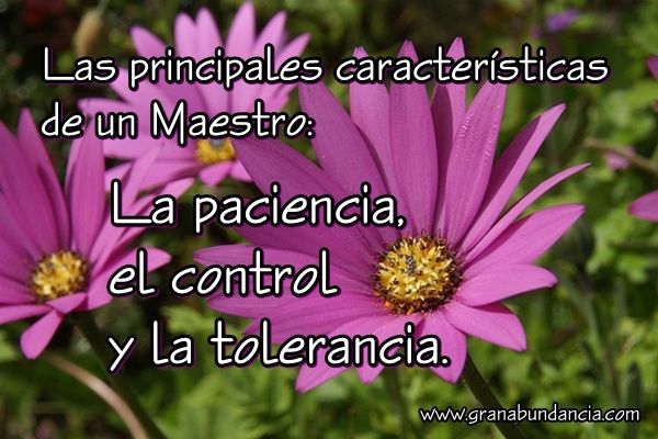 FELICIDADES