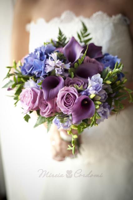 RAMO MORADO