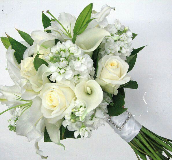 Ramo con flores de zanahoria? 💮 - 1