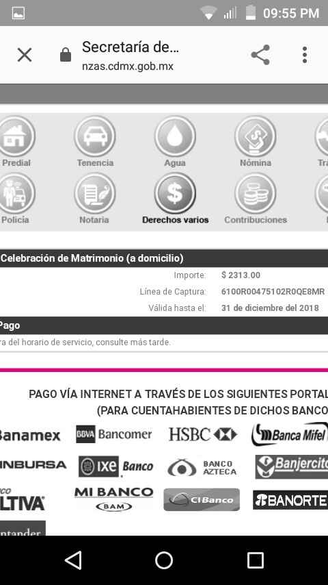 Juez para ceremonia civil cdmx - 2