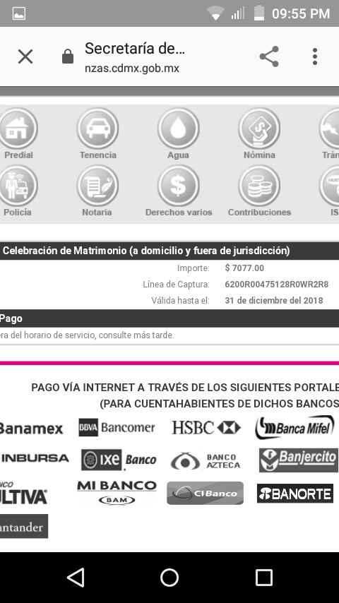 Juez para ceremonia civil cdmx - 3