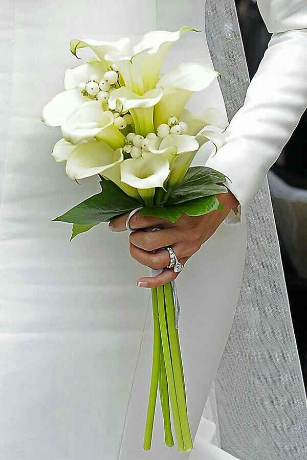 Una boda sin colores - 2