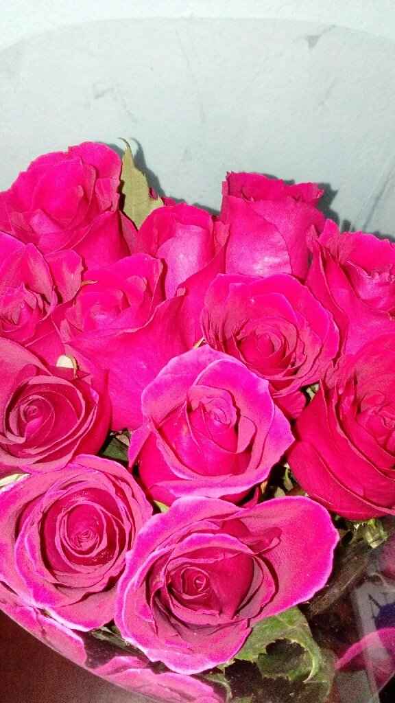 ¿Qué fue lo último que te regaló tu FM? - 1