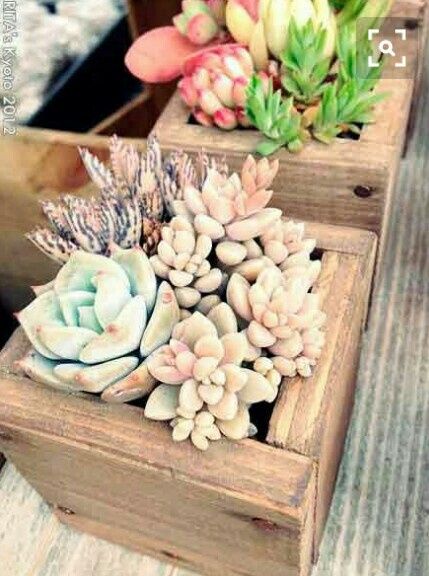 Chicas ayuda!!! centros de mesa - 4