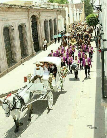 Bodas charras 🐎 - 7