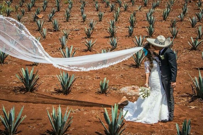 Bodas charras 🐎 - 17