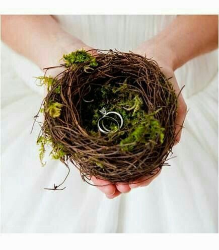 Ideas para entregar los anillos de boda?? - 1