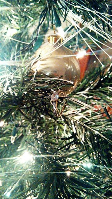 Recuento del 2016, feliz!! - 1