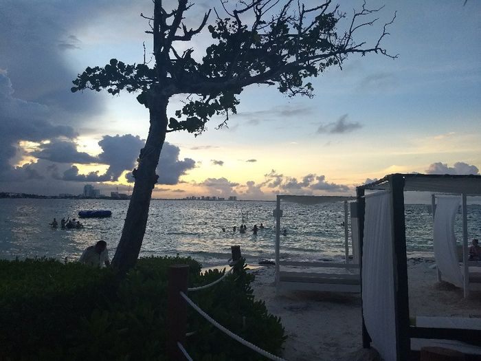  Algo de la  🌒 de 🍯 - 5