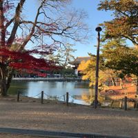 Japón!😍 - 5